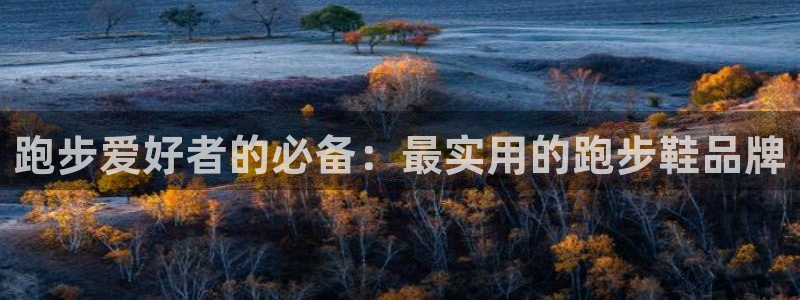 捷豹足球比赛