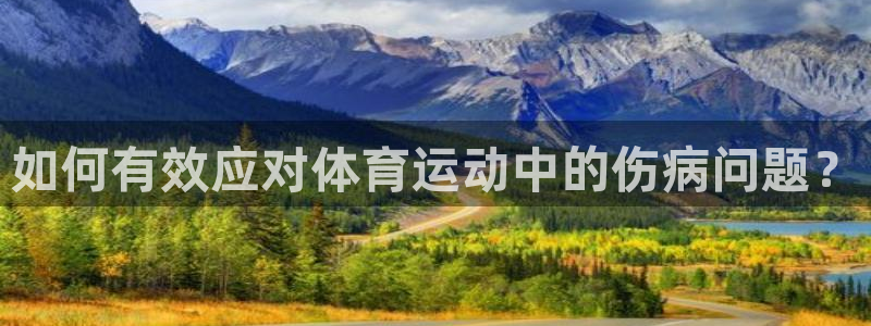 捷豹足球