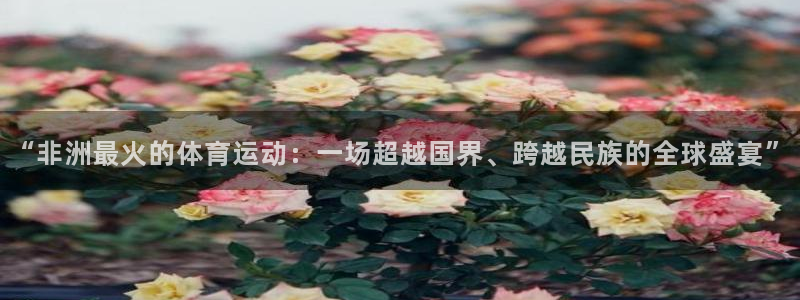 捷豹足球