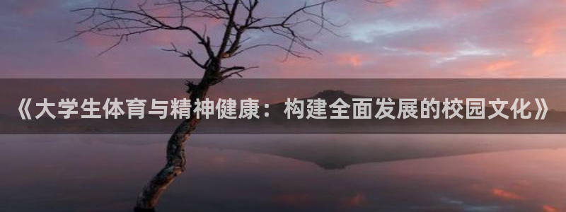 捷豹足球推荐