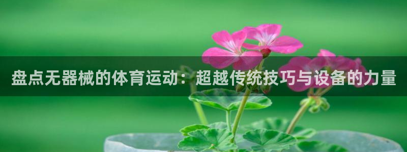 捷豹足球：盘点无器械的体育运动：超越传统技巧与设备的力量