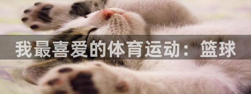 捷豹足球比赛：我最喜爱的体育运动：篮球